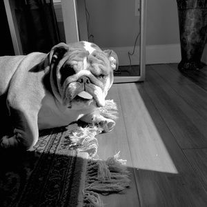 Meet your Posher, Vino